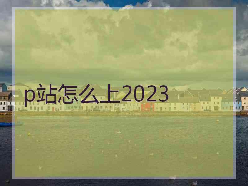 p站怎么上2023