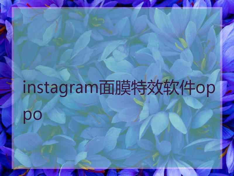 instagram面膜特效软件oppo