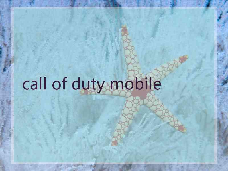 call of duty mobile