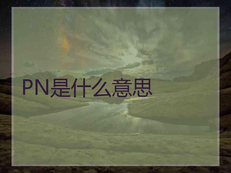 PN是什么意思