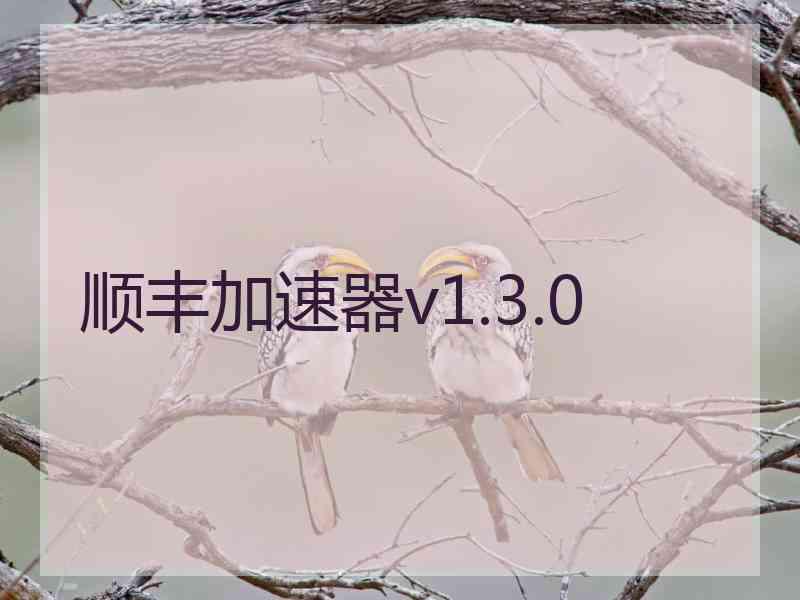 顺丰加速器v1.3.0