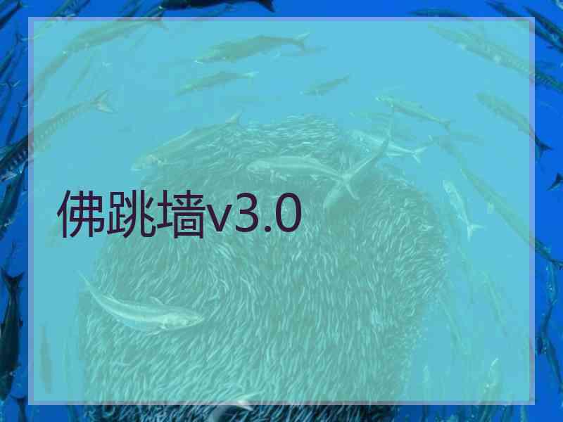 佛跳墙v3.0