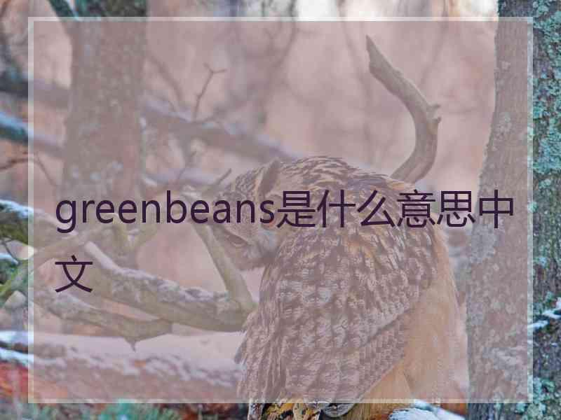 greenbeans是什么意思中文