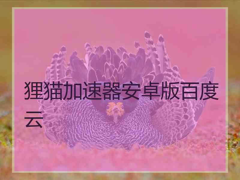 狸猫加速器安卓版百度云