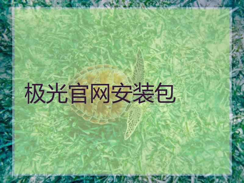 极光官网安装包