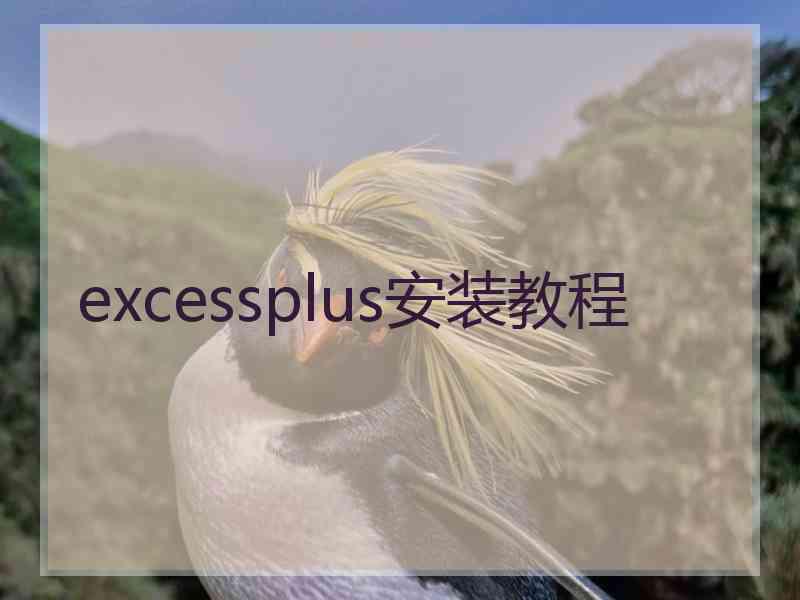 excessplus安装教程