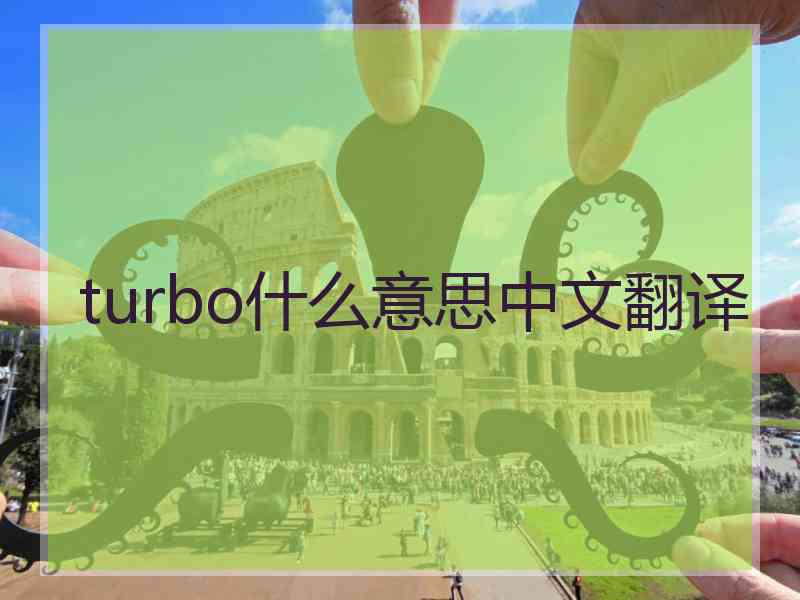 turbo什么意思中文翻译