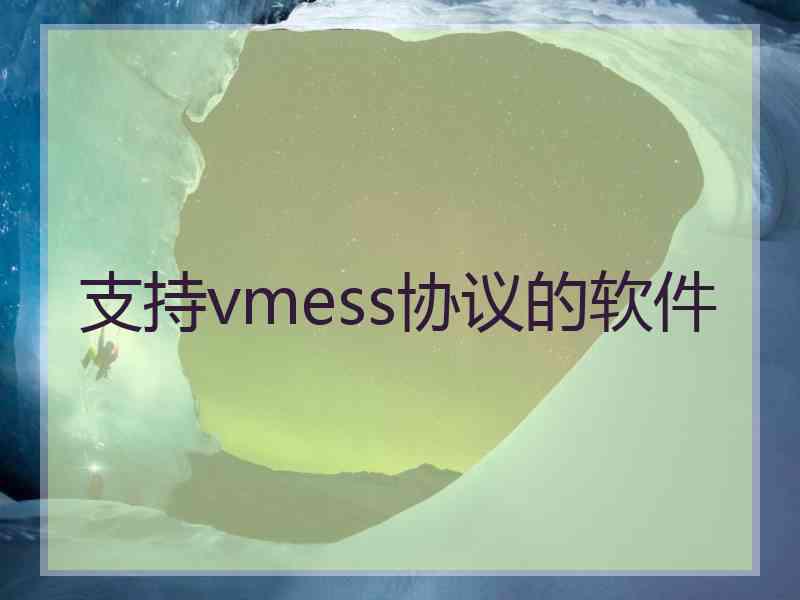 支持vmess协议的软件