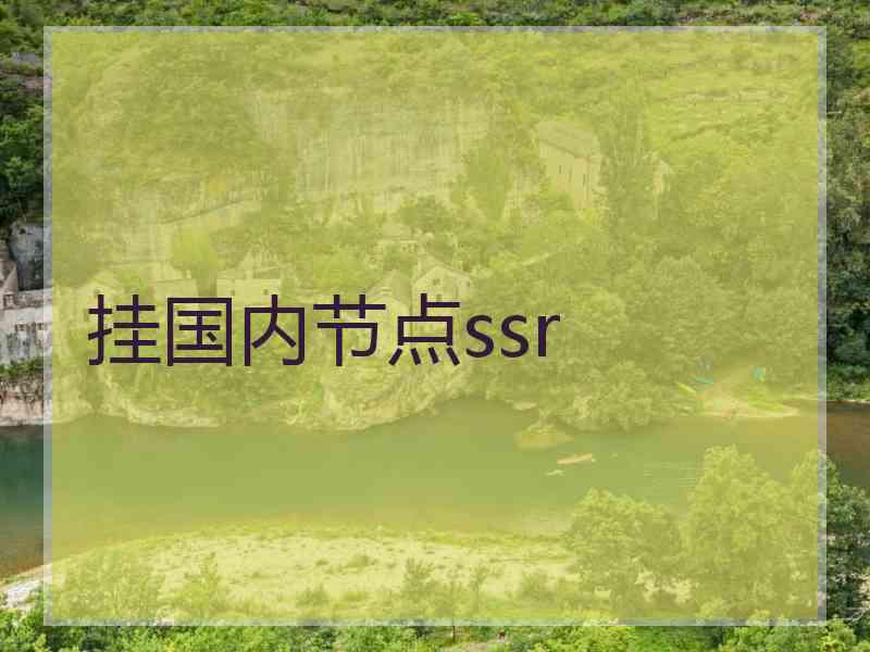 挂国内节点ssr