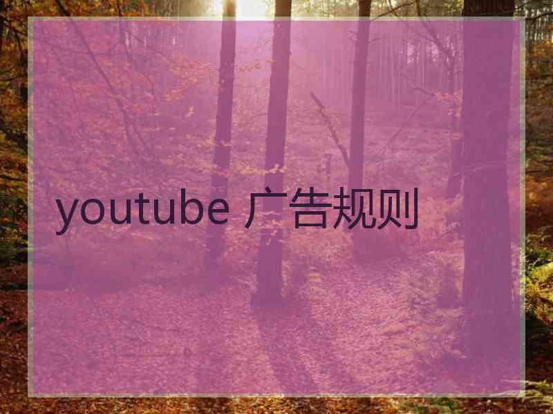 youtube 广告规则