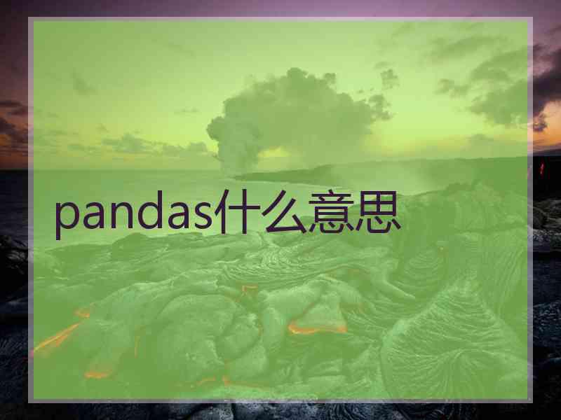 pandas什么意思