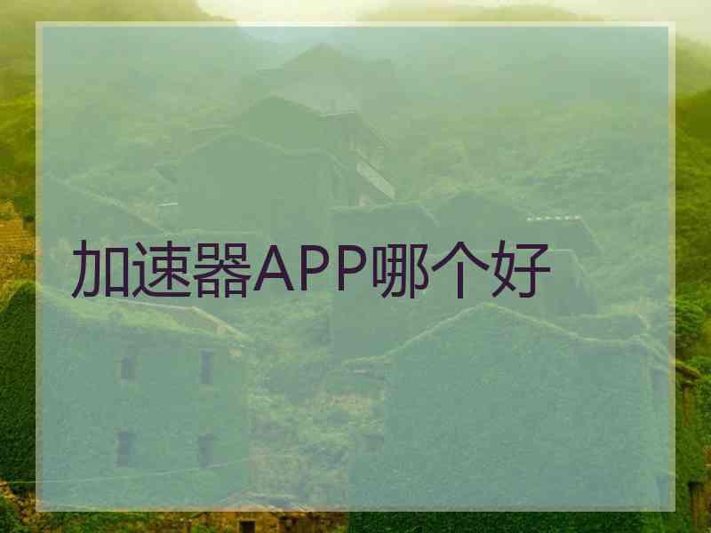 加速器APP哪个好