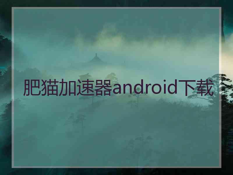 肥猫加速器android下载