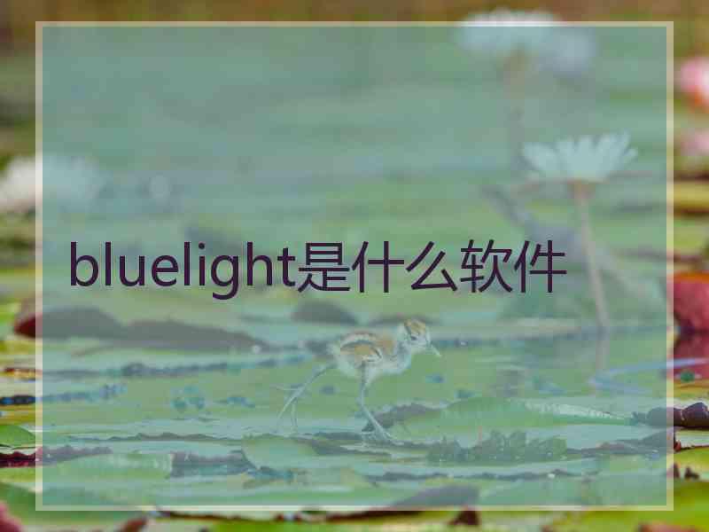 bluelight是什么软件