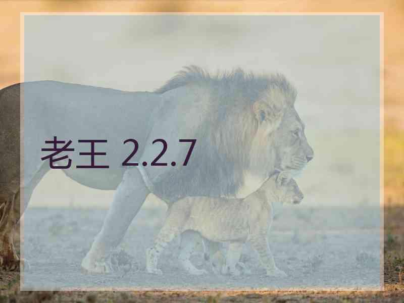 老王 2.2.7