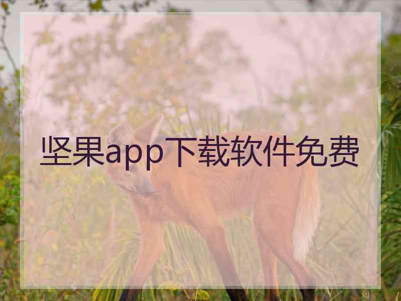 坚果app下载软件免费