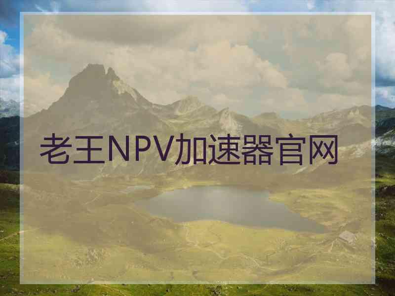 老王NPV加速器官网