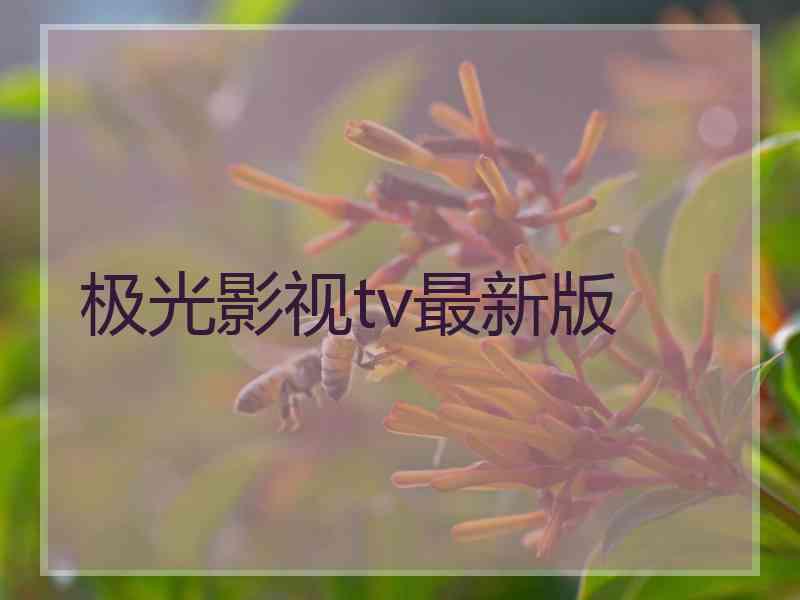 极光影视tv最新版