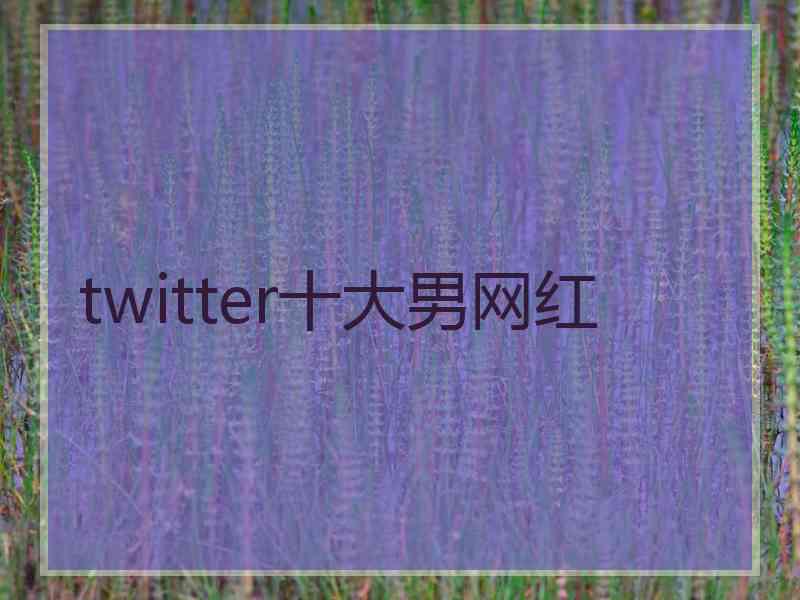 twitter十大男网红