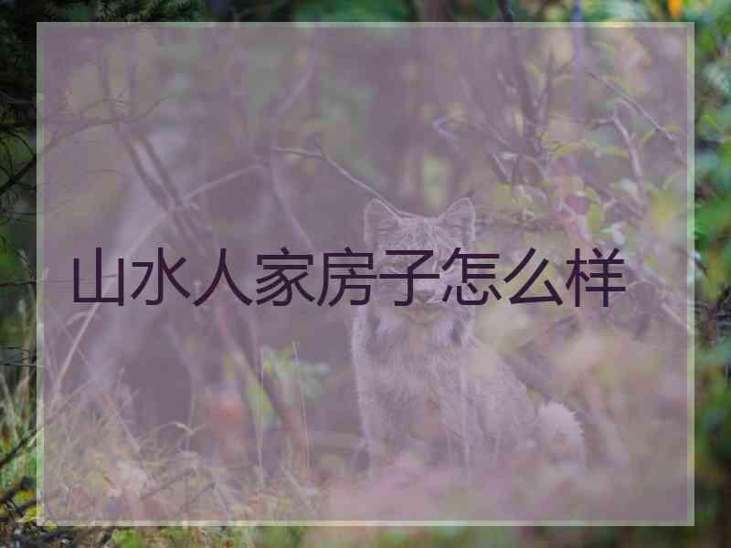 山水人家房子怎么样