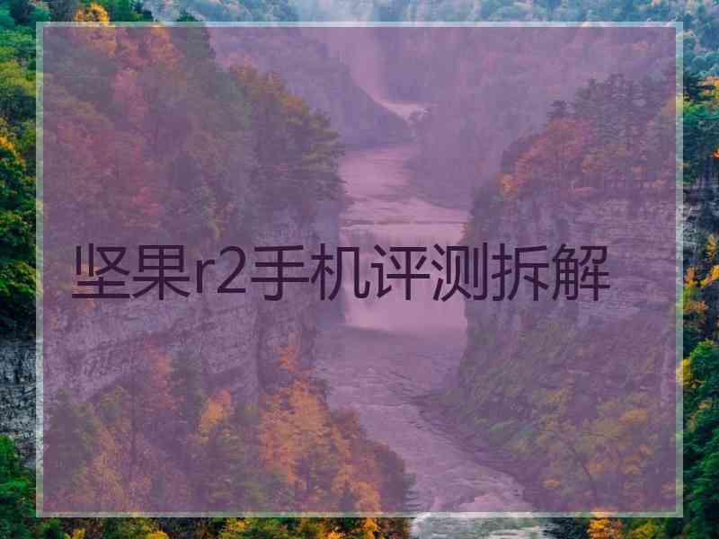 坚果r2手机评测拆解