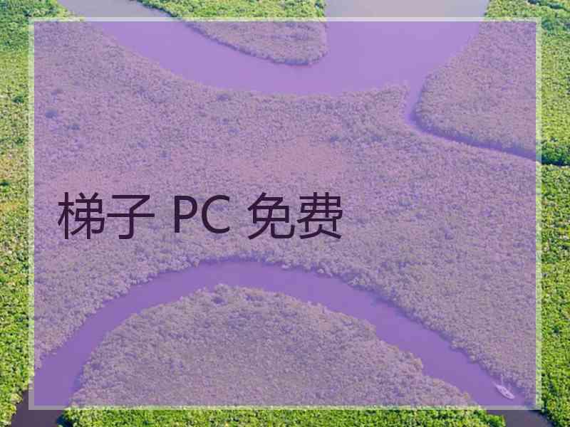 梯子 PC 免费