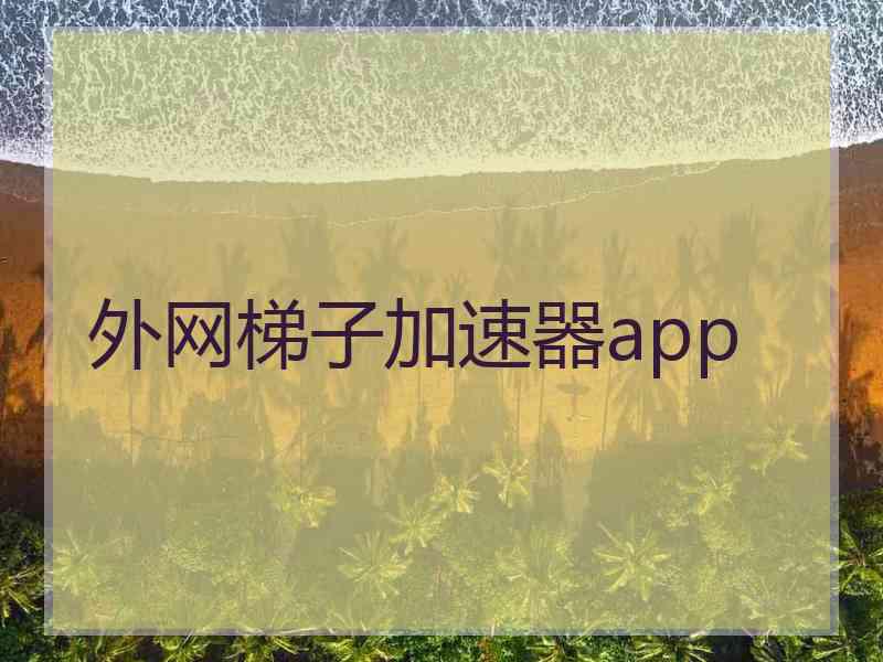 外网梯子加速器app