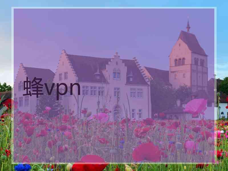 蜂vpn