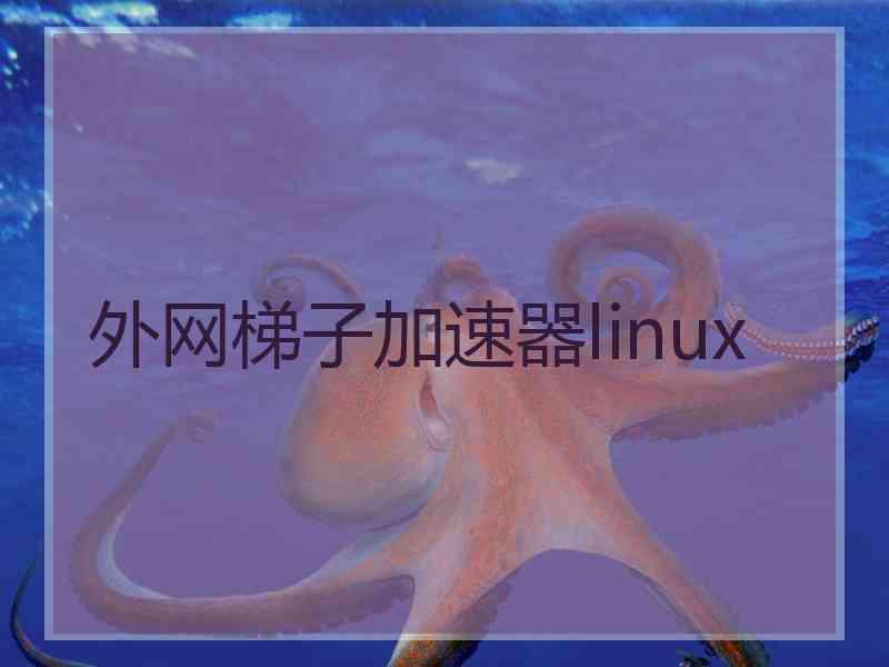 外网梯子加速器linux