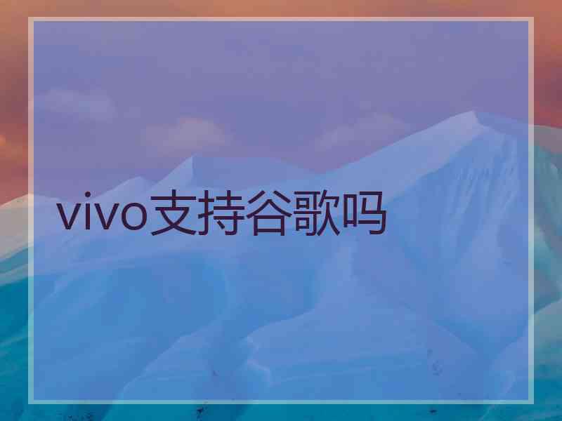 vivo支持谷歌吗