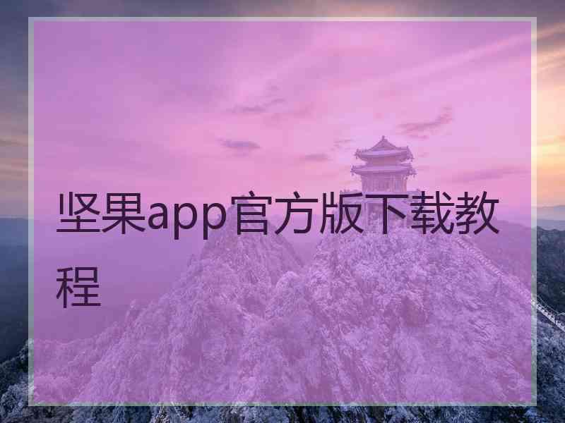 坚果app官方版下载教程