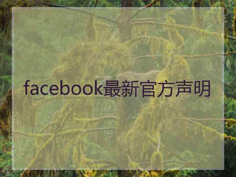 facebook最新官方声明