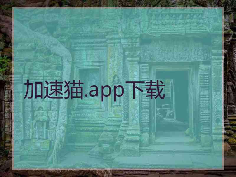 加速猫.app下载