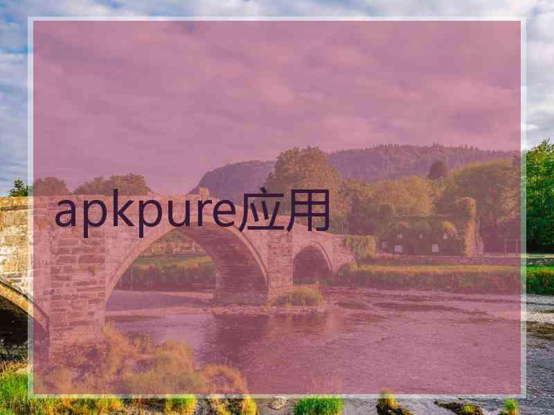 apkpure应用