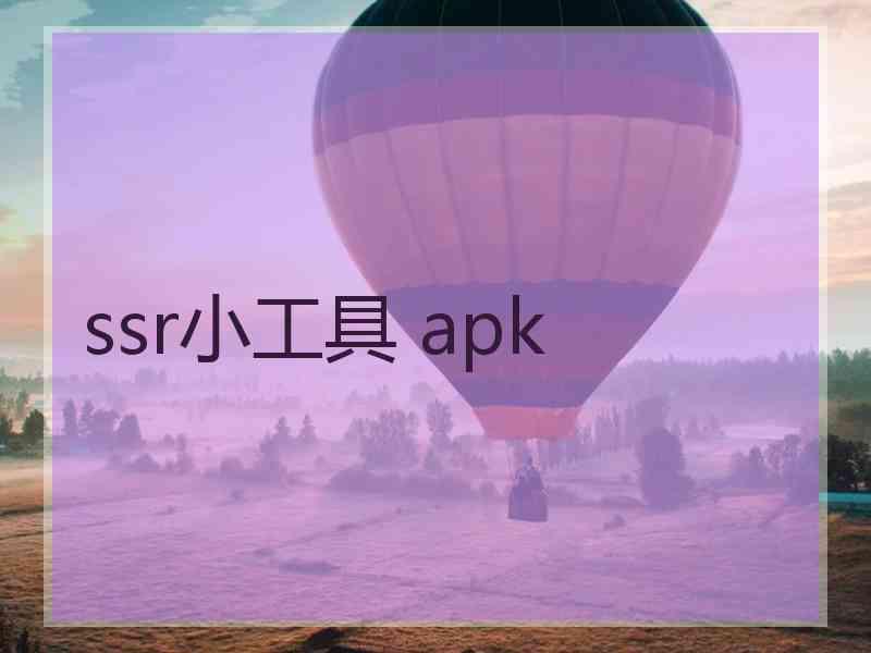 ssr小工具 apk