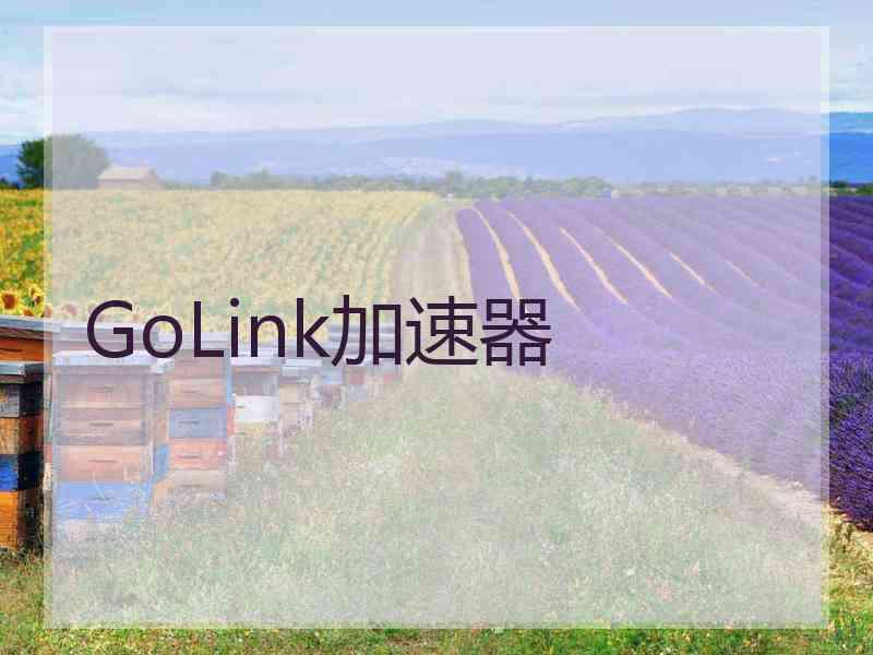 GoLink加速器