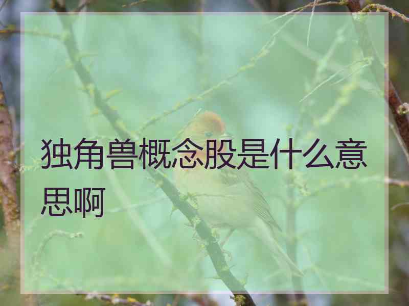 独角兽概念股是什么意思啊