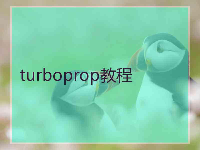 turboprop教程