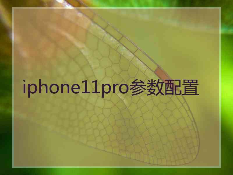 iphone11pro参数配置