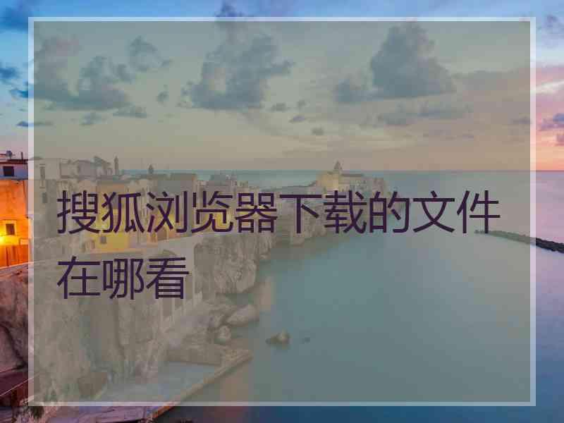 搜狐浏览器下载的文件在哪看