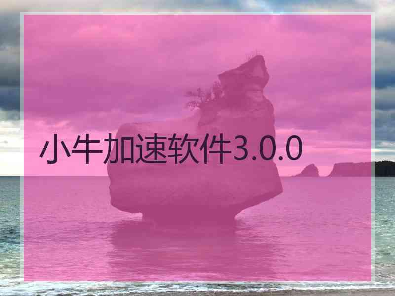 小牛加速软件3.0.0