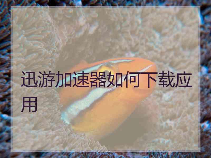 迅游加速器如何下载应用