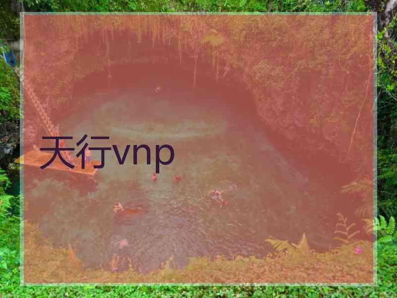 天行vnp