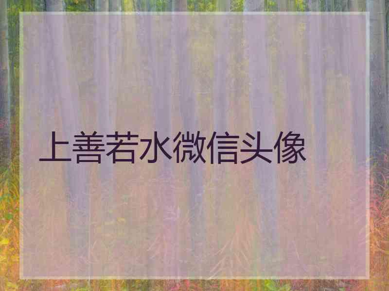 上善若水微信头像