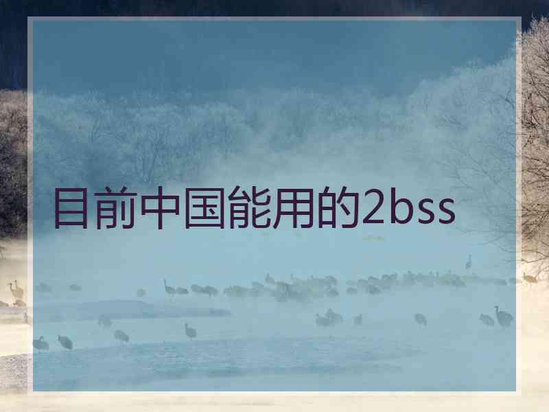 目前中国能用的2bss