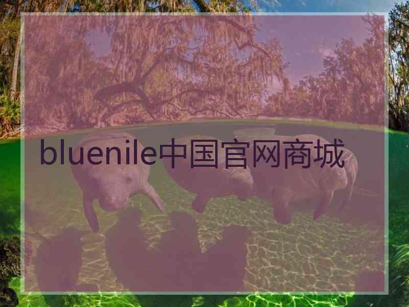 bluenile中国官网商城