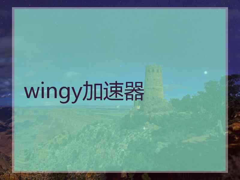 wingy加速器