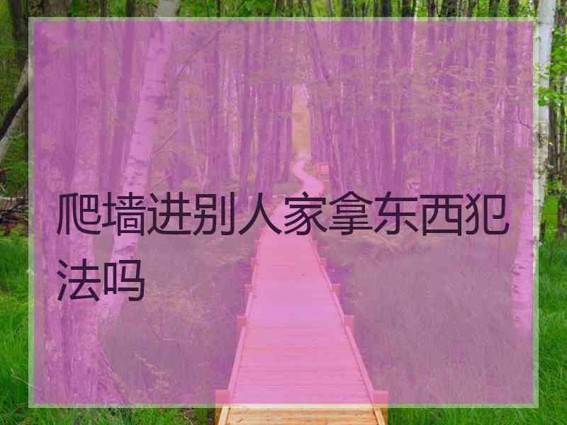 爬墙进别人家拿东西犯法吗