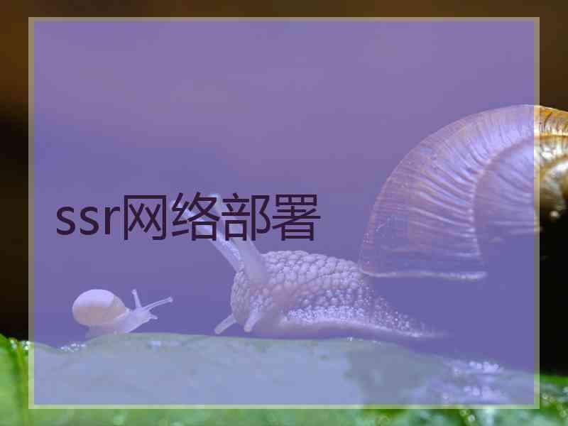 ssr网络部署