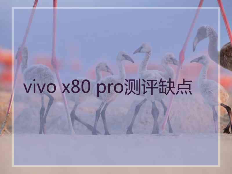 vivo x80 pro测评缺点